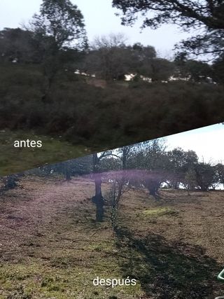 Trabajos agrícolas y forestales