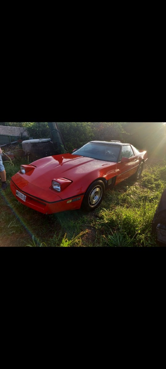 Chevrolet Corvette 1995 - foto 1