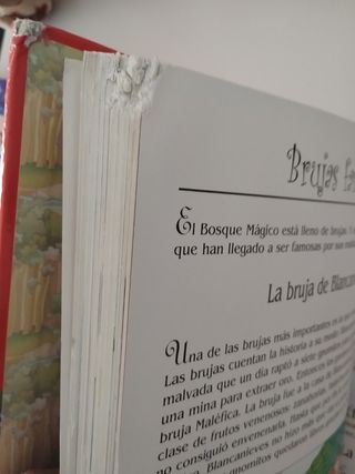 Libro. Cuentos del Bosque
