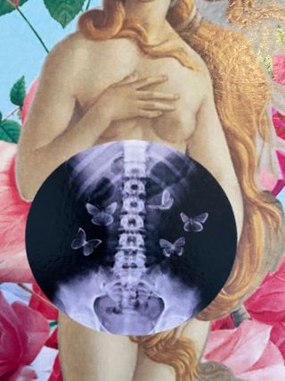 Venus- impresión sobre papel acartonado-artista