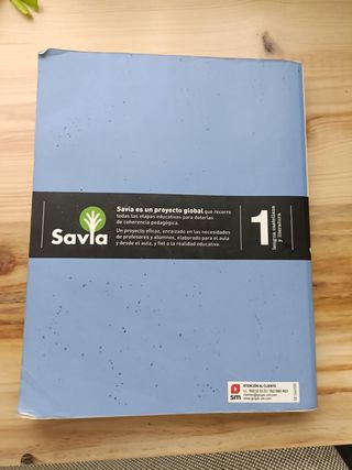 Libro castellano 1 bachillerato SM