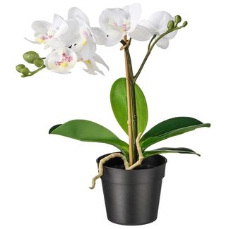 Planta artificial orquídeas