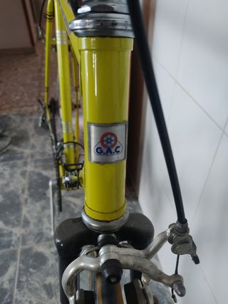 Bicicleta