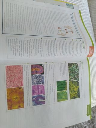 Biología y geología 1 bachillerato.Edit Edelvives