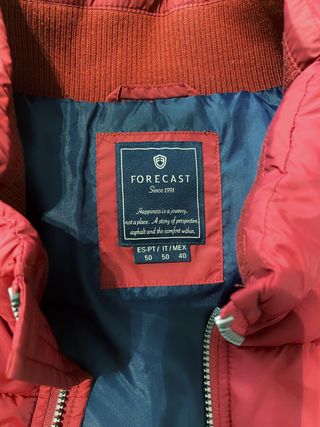 Chaleco acolchado Forecast
