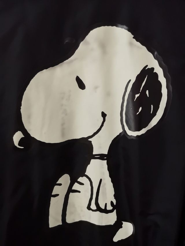 Bomber jacket Bershka