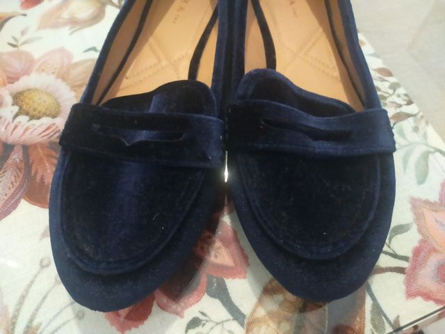 Zapatos de terciopelo