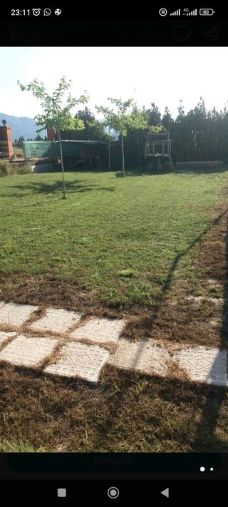 Bosco trabajo