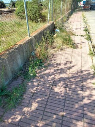Servicios de mantenimiento  en general.