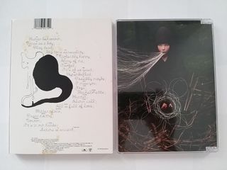 BJÖRK - GREATEST HITS - CD + DVD SET de segunda mano por 25 EUR en