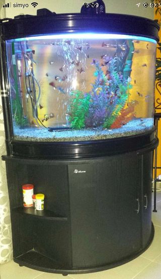 Acuario 300litros + mueble completo+accesorios