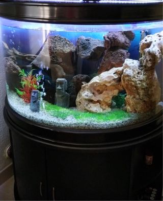 Acuario 300litros + mueble completo+accesorios