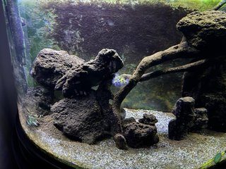 Acuario 300litros + mueble completo + accesorios..