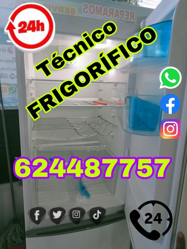 Frigorífico, técnico, electrodomésticos