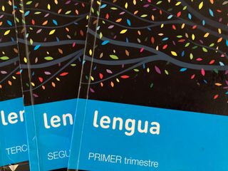 Libros texto Sm Savia