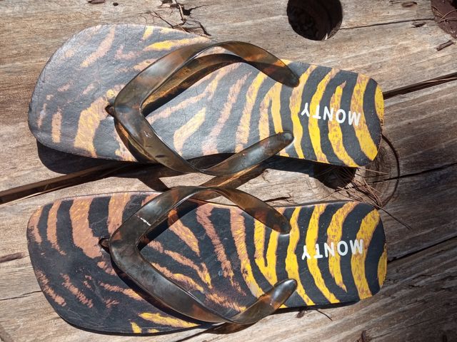 chanclas tigre