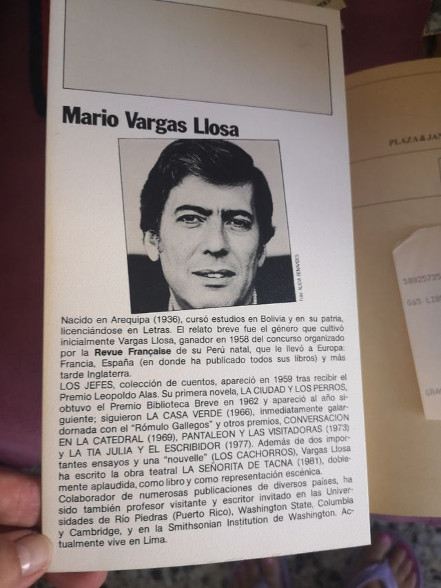 Libro Mario vargas llosa