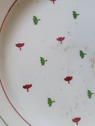 Juego de 5 platos Luneville KG blandine