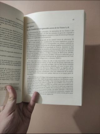 Propuesta de Código Civil...