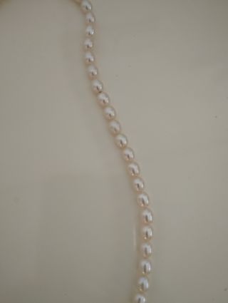 Gargantilla de perlas