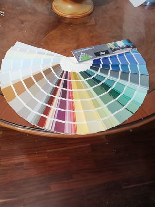 Pintor profesional