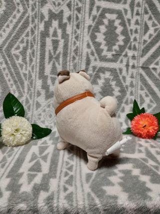 🐩 Mel carlino Mascotas Disney