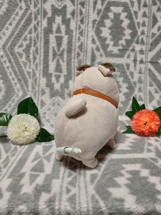 🐩 Mel carlino Mascotas Disney