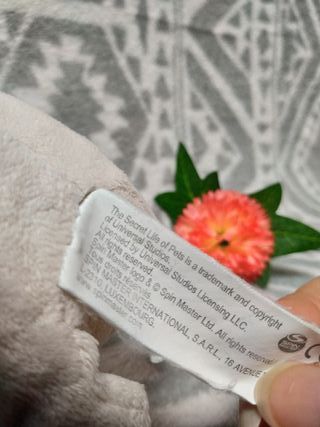 🐩 Mel carlino Mascotas Disney