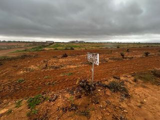 Venta de 5 fanegas de viña en consuegra