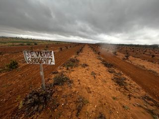 Venta de 5 fanegas de viña en consuegra
