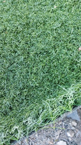 CESPED ARTIFICIAL RECICLADOS