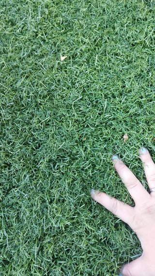 CESPED ARTIFICIAL RECICLADOS