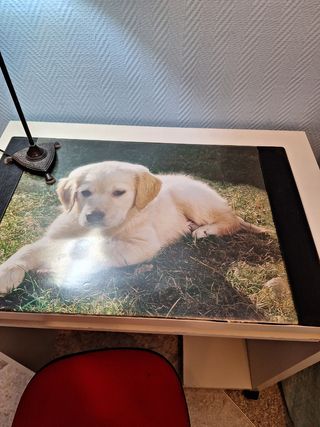 CONJUNTO DE ESCRITORIO, SILLA Y TAPETE