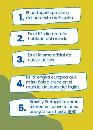 Clases de Portugués Online
