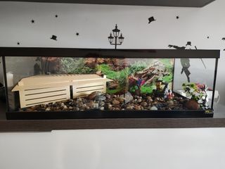 Lote aquaterrario tortugas y complementos