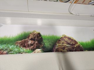 Lote aquaterrario tortugas y complementos