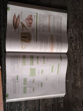 1° BACHILLERATO BIOLOGÍA Y GEOLOGÍA ANA