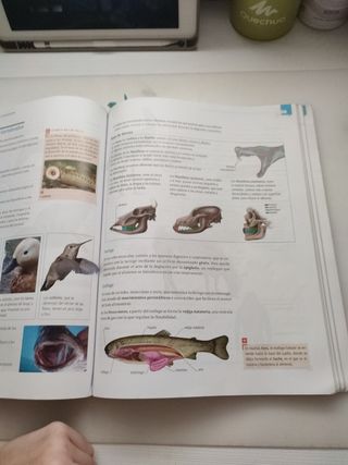 Libros Biología y Geología 1°Bachillerato