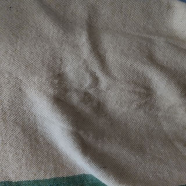 Manta antigua del Val de San Lorenzo.