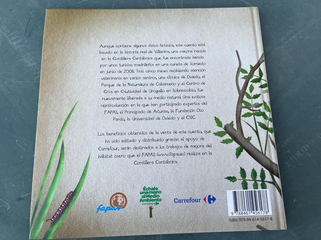 Libro "El retorno de Villarina"