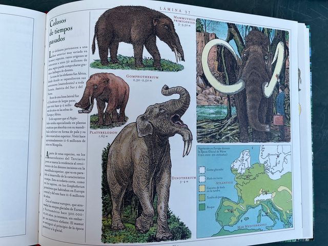 Libro “El gran libro de los animales”