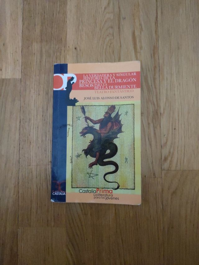 La Verdadera y Singular Historia de la Princesa...