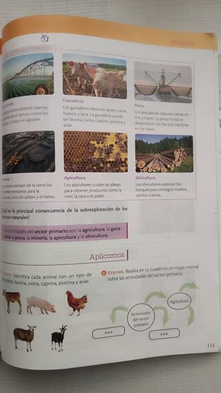 Libro de Ciencias Sociales - 5 Primaria