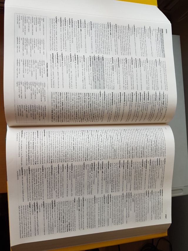 GRAN DICCIONARI DE LA LLENGUA CATALANA