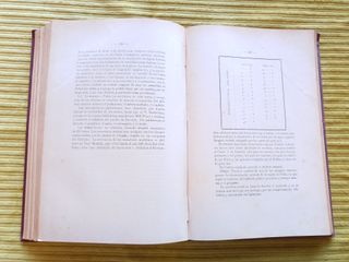 ANTIGUO LIBRO DE LITERATURA GENERAL