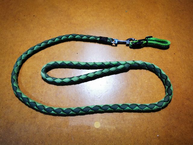 Correa Mascota pequeña