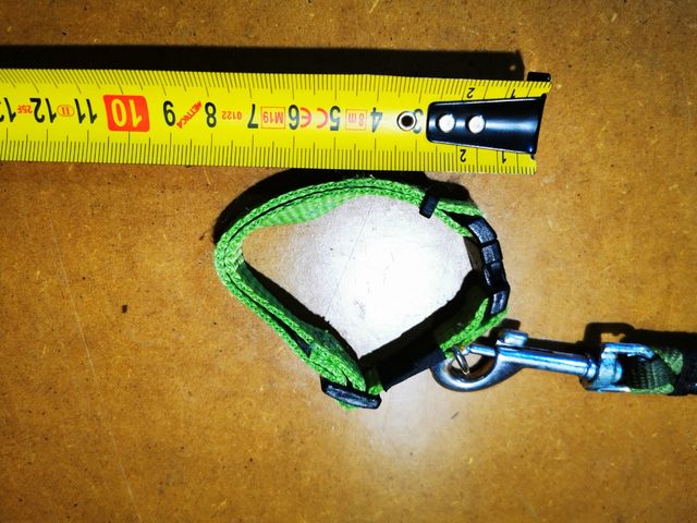 Correa Mascota pequeña