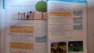 Libro de Lengua - 5º Primaria