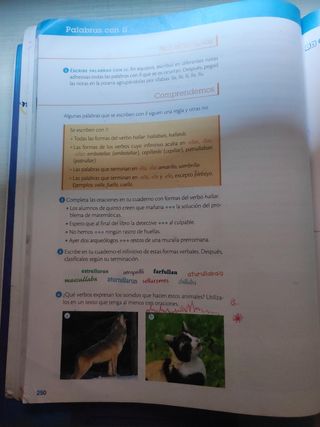 Libro de Lengua - 5º Primaria
