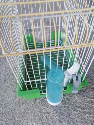 Jaula pajaritos